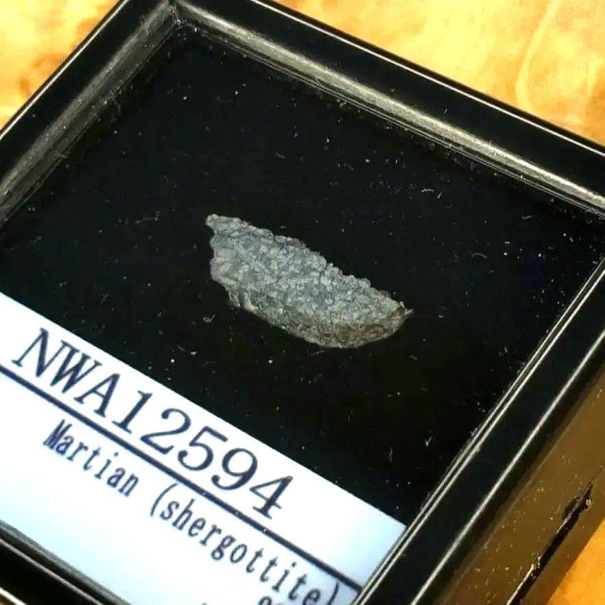 火星の石！シャーッゴッタイト　 NWA 12594　隕石標本 NWA 12564 火星隕石(Shergottite) 894 49.63g - 鉱物標本・隕石標本